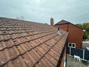 Roof Moss Removal Rugby